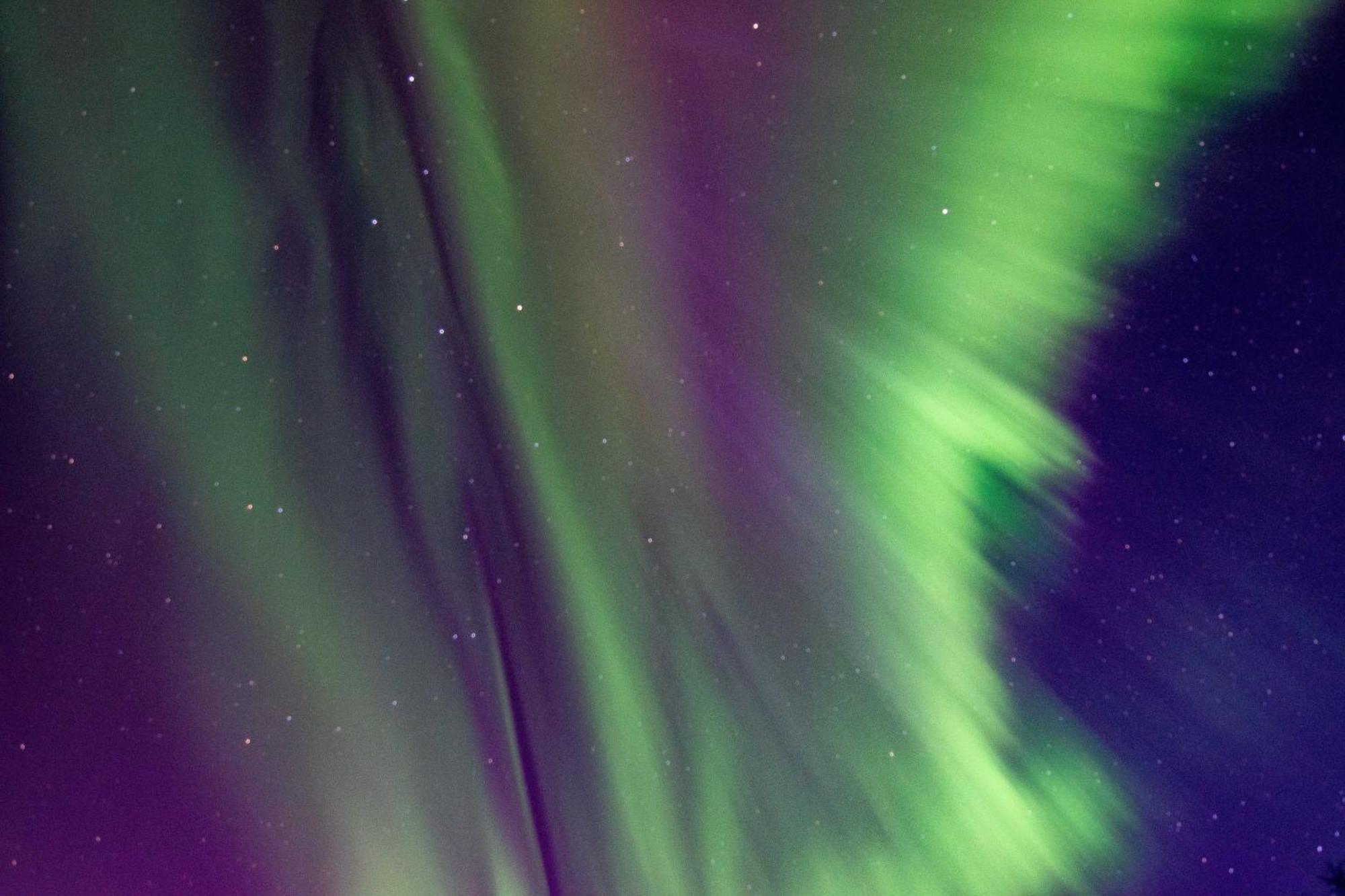 Riverside Log Cabin On-Site Aurora Viewing! North Pole Exterior foto
